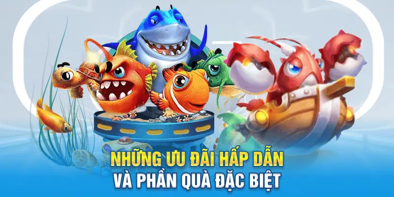 Những ưu đãi hấp dẫn và phần quà đặc biệt 