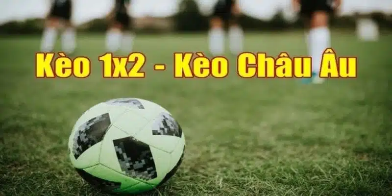 Cách đọc kèo châu Âu cơ bản mà hội viên cần biết