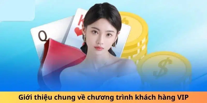 Giới thiệu chung về chương trình khách hàng VIP